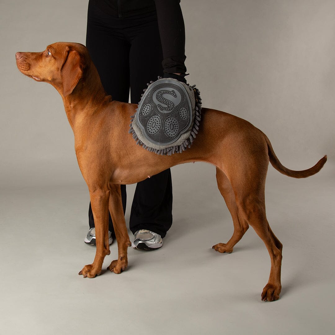 Noodle Super Absorbent Dry Mitt - Grey Dog Grooming Scruffs®