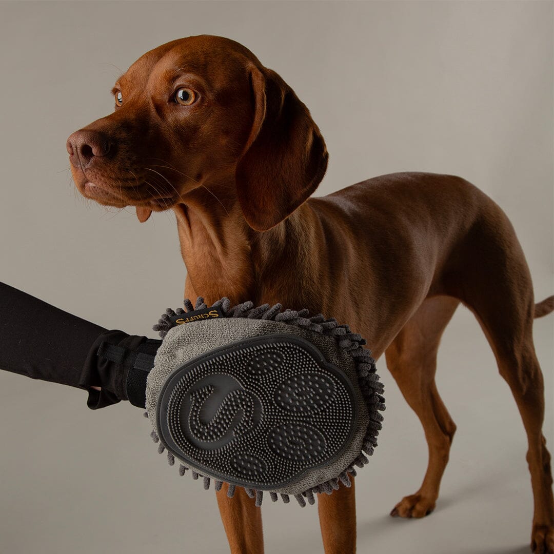 Noodle Super Absorbent Dry Mitt - Grey Dog Grooming Scruffs®