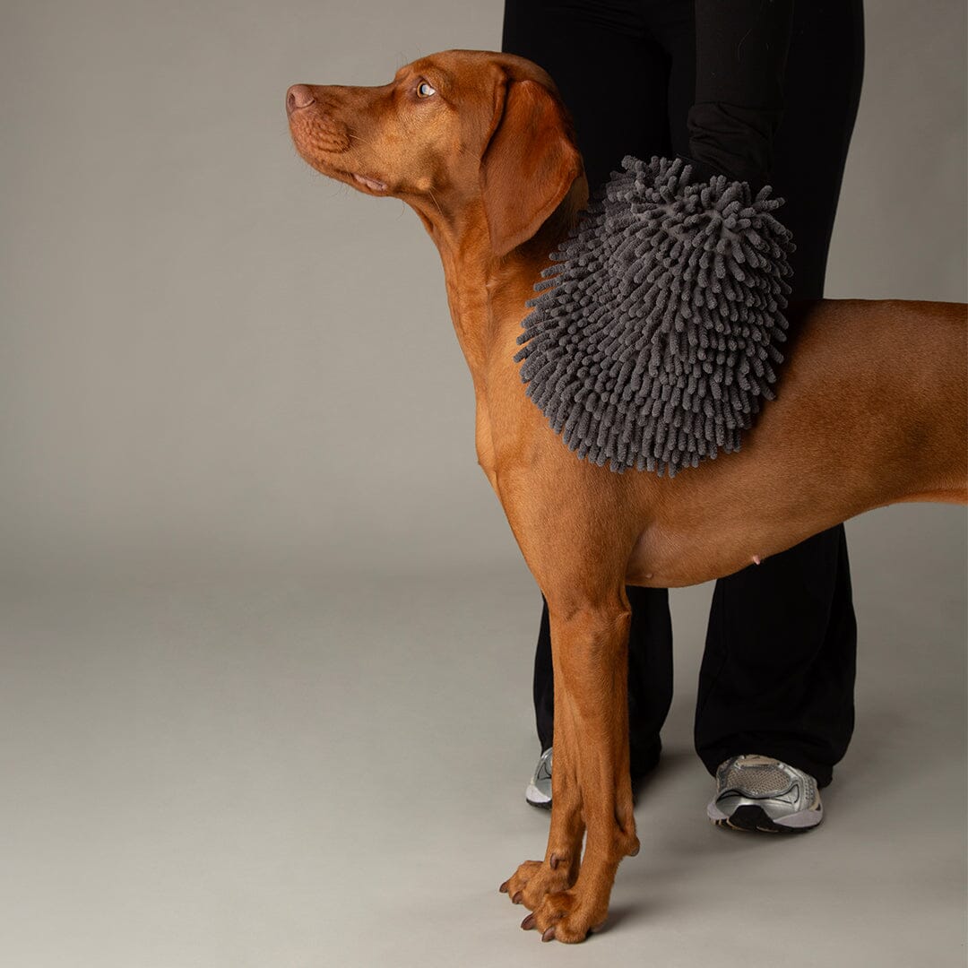 Noodle Super Absorbent Dry Mitt - Grey Dog Grooming Scruffs®