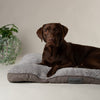 Cosy Mattress - Grey Dog Bed Scruffs®