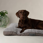 Cosy Mattress - Grey Dog Bed Scruffs®