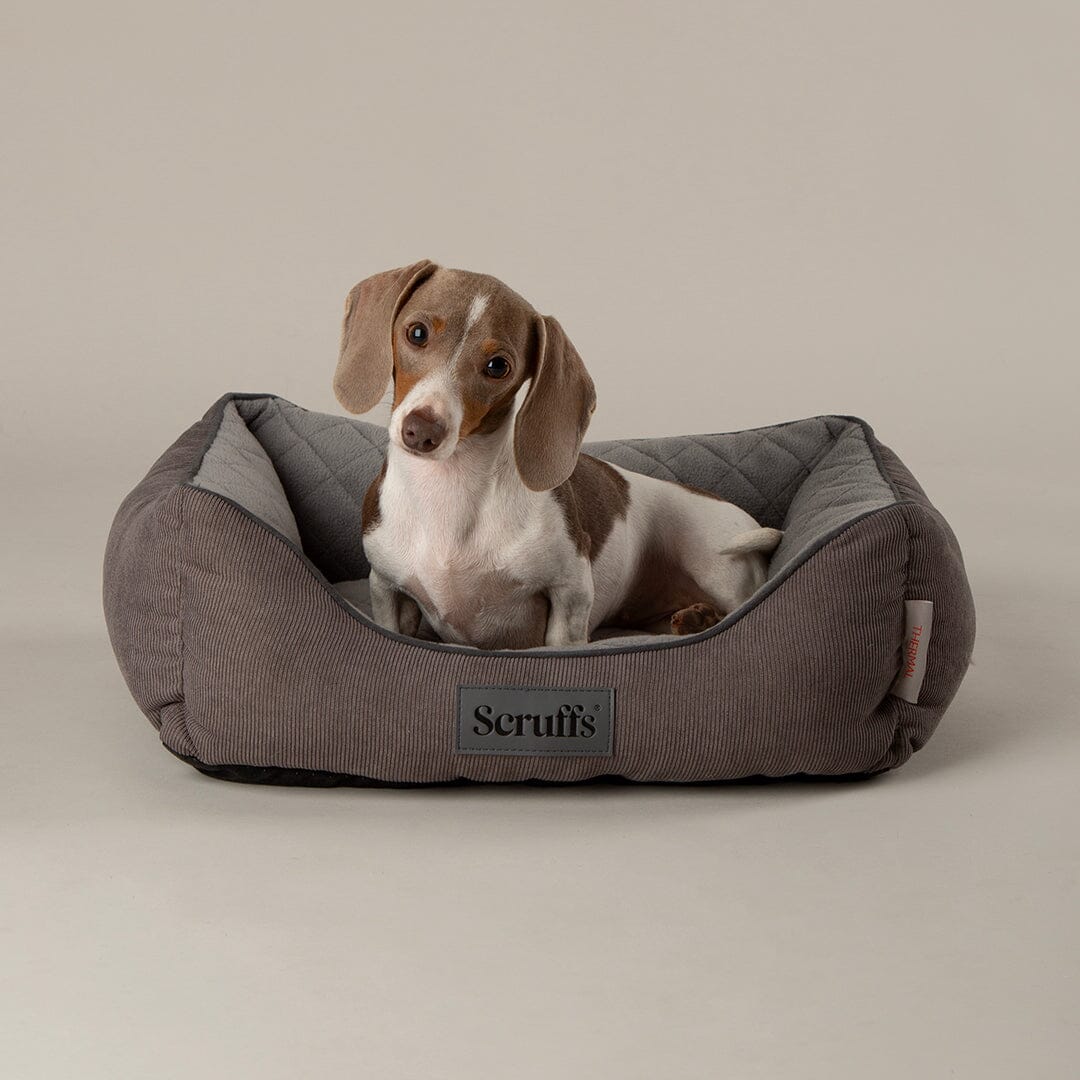 Thermal Self Heating Box Bed - Grey Dog Bed Scruffs®