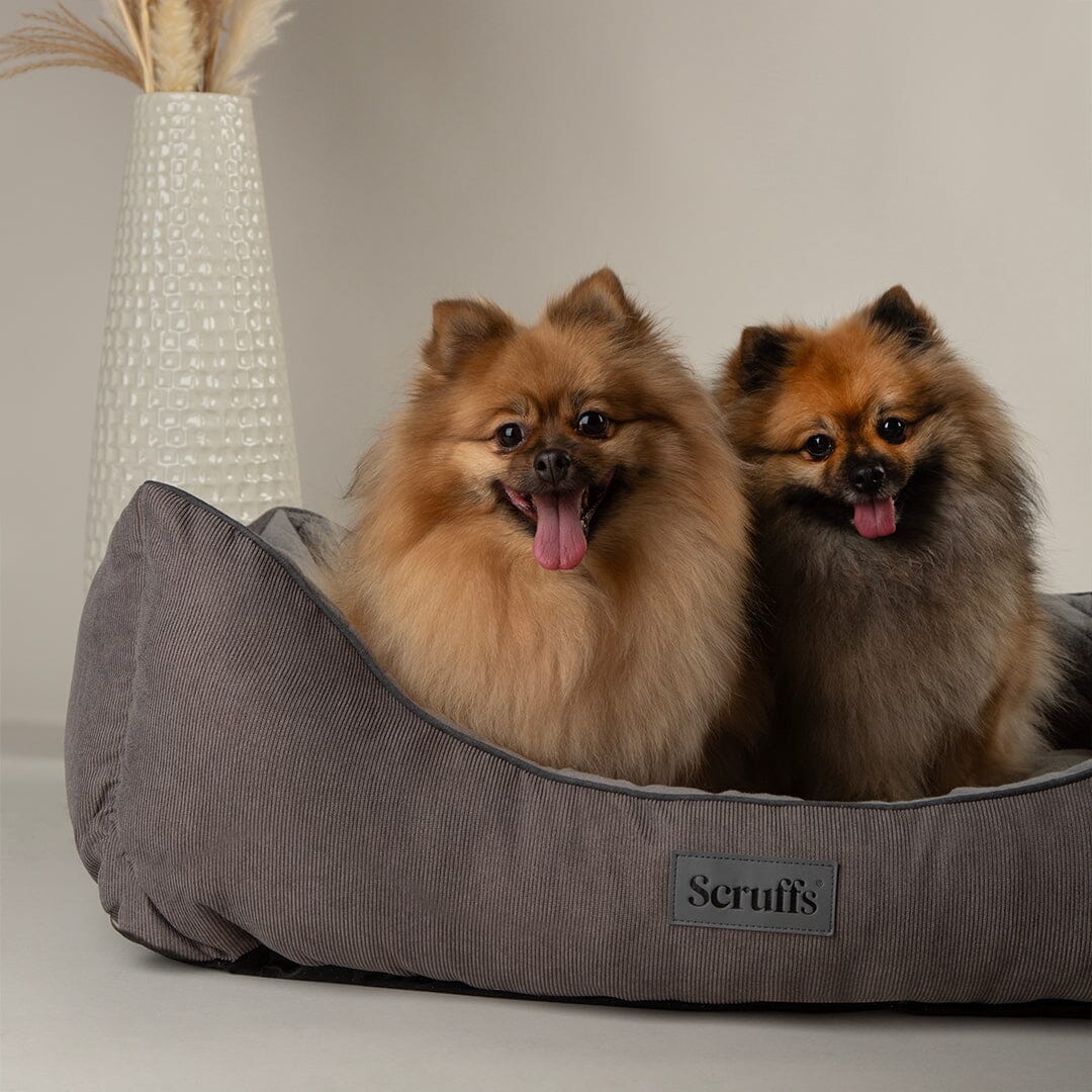 Thermal Box Bed - Grey Dog Bed Scruffs®