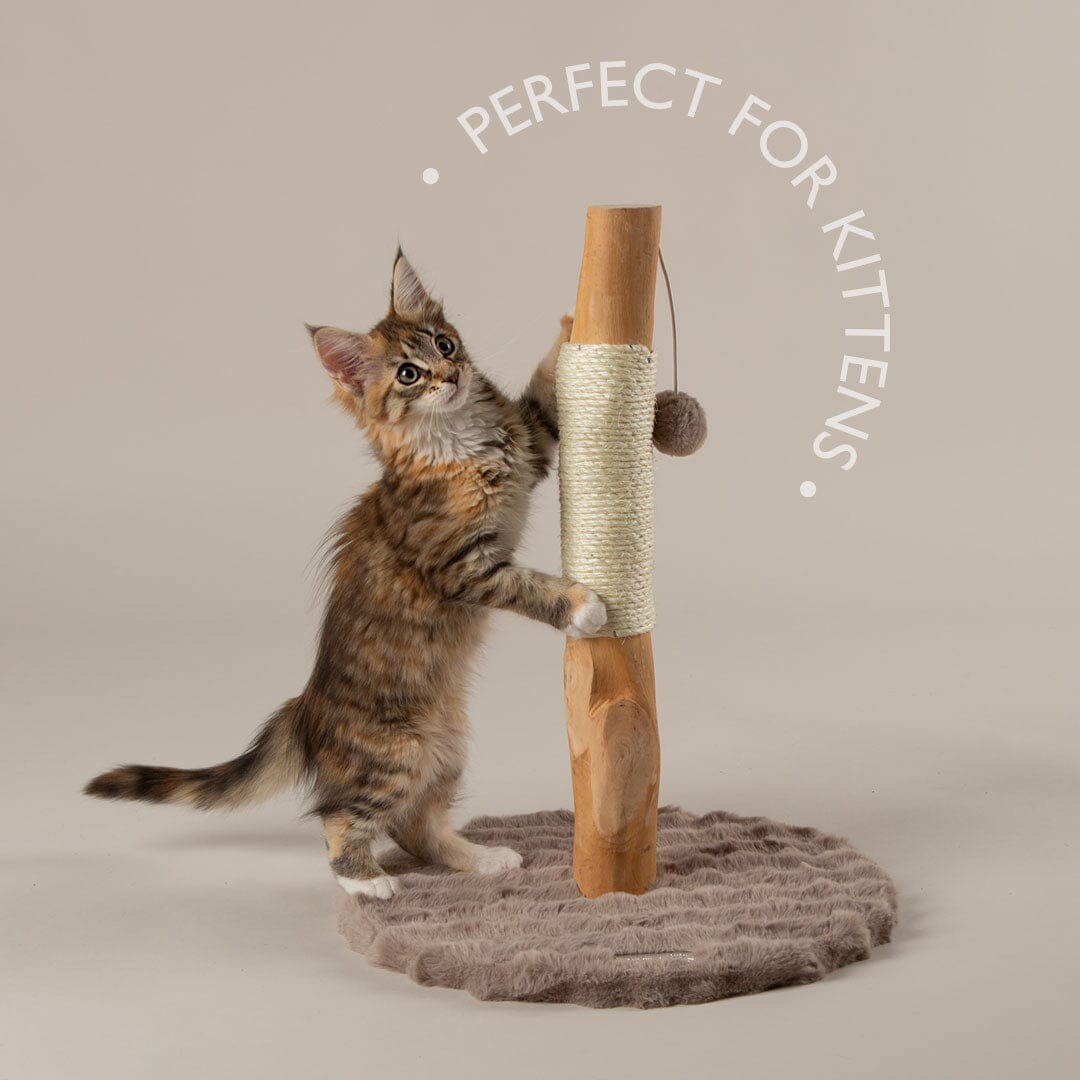 Alpine Andes 'My First' Cat Scratching Post - Cream Cat Tree petslovescruffs