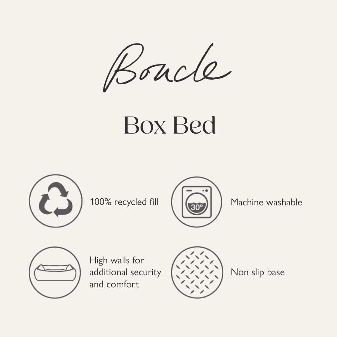 Boucle Box Bed - Desert Brown Dog Bed Scruffs®