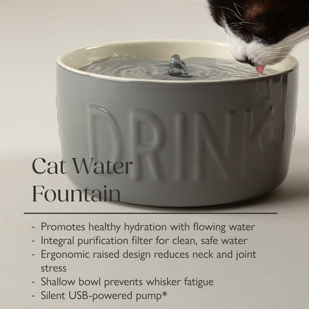 Classic Cat Water Fountain 20cm - Grey Pet Bowls, Feeders & Waterers Scruffs®