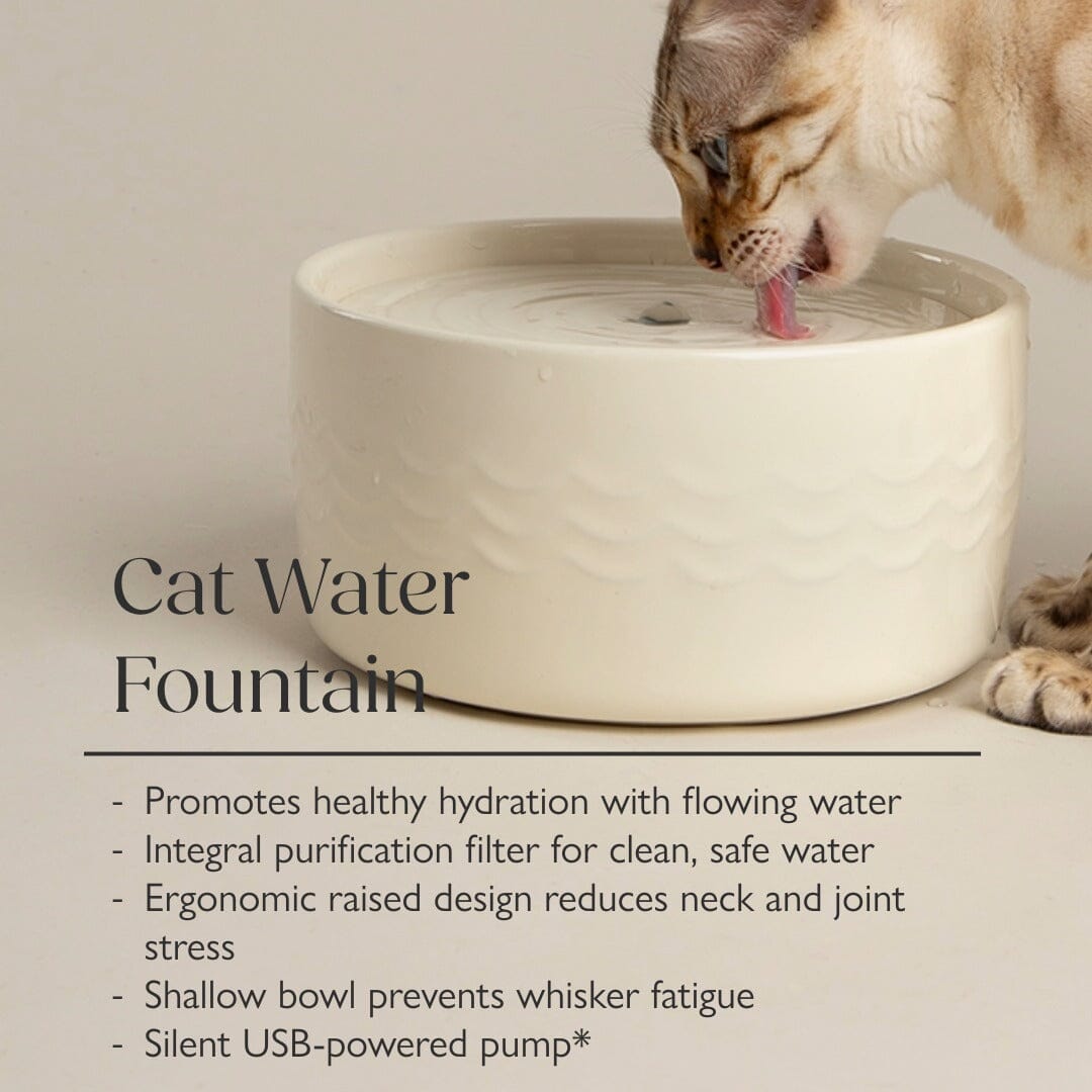 Icon Cat Water Fountain 20cm - Cream Pet Bowls, Feeders & Waterers Scruffs®