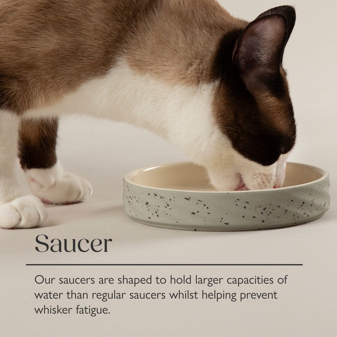 Zen 2 Piece Cat Raised Cat Feeder & Saucer Set - Brown Pet Bowls, Feeders & Waterers Scruffs®