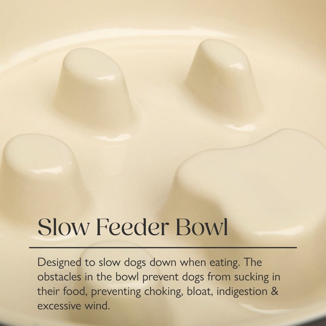Icon 2 Piece Dog Slow Feeder & Water Bowl Set - 20cm - Cream Pet Bowls, Feeders & Waterers Scruffs®