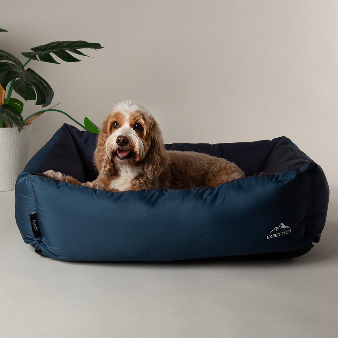 Expedition Water Resistant Box Bed - Atlantic Blue Dog Bed Scruffs®