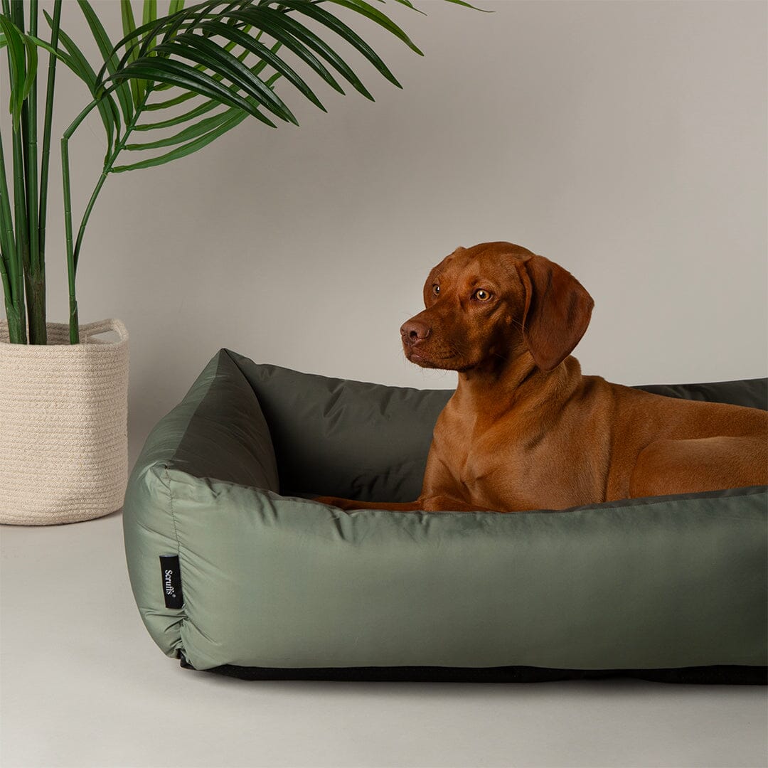 Expedition Water Resistant Box Bed - Khaki Green Scruffs®