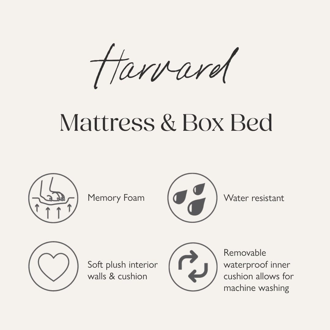 Harvard Memory Foam Box Bed - Pearl Grey Dog Bed Scruffs®