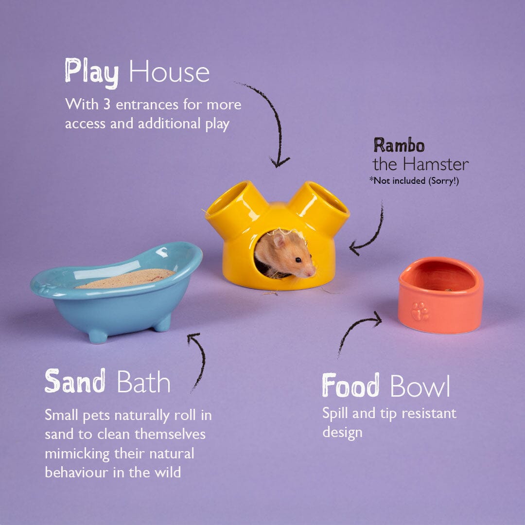 Small Animal Ceramic Set - Colours Pet Bowls, Feeders & Waterers Scruffs®