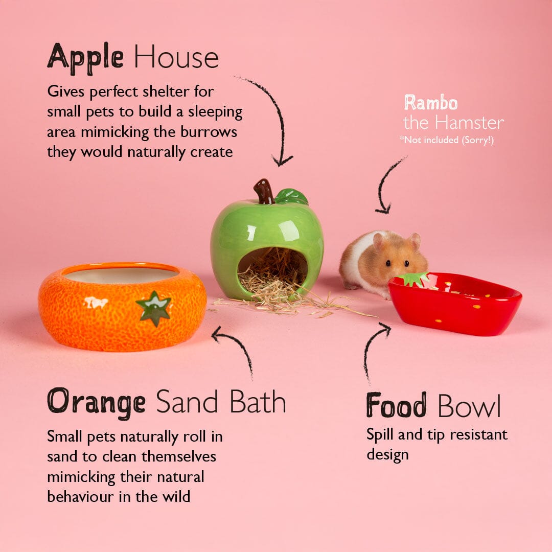 Small Animal Ceramic Set - Fruit Pet Bowls, Feeders & Waterers Scruffs®