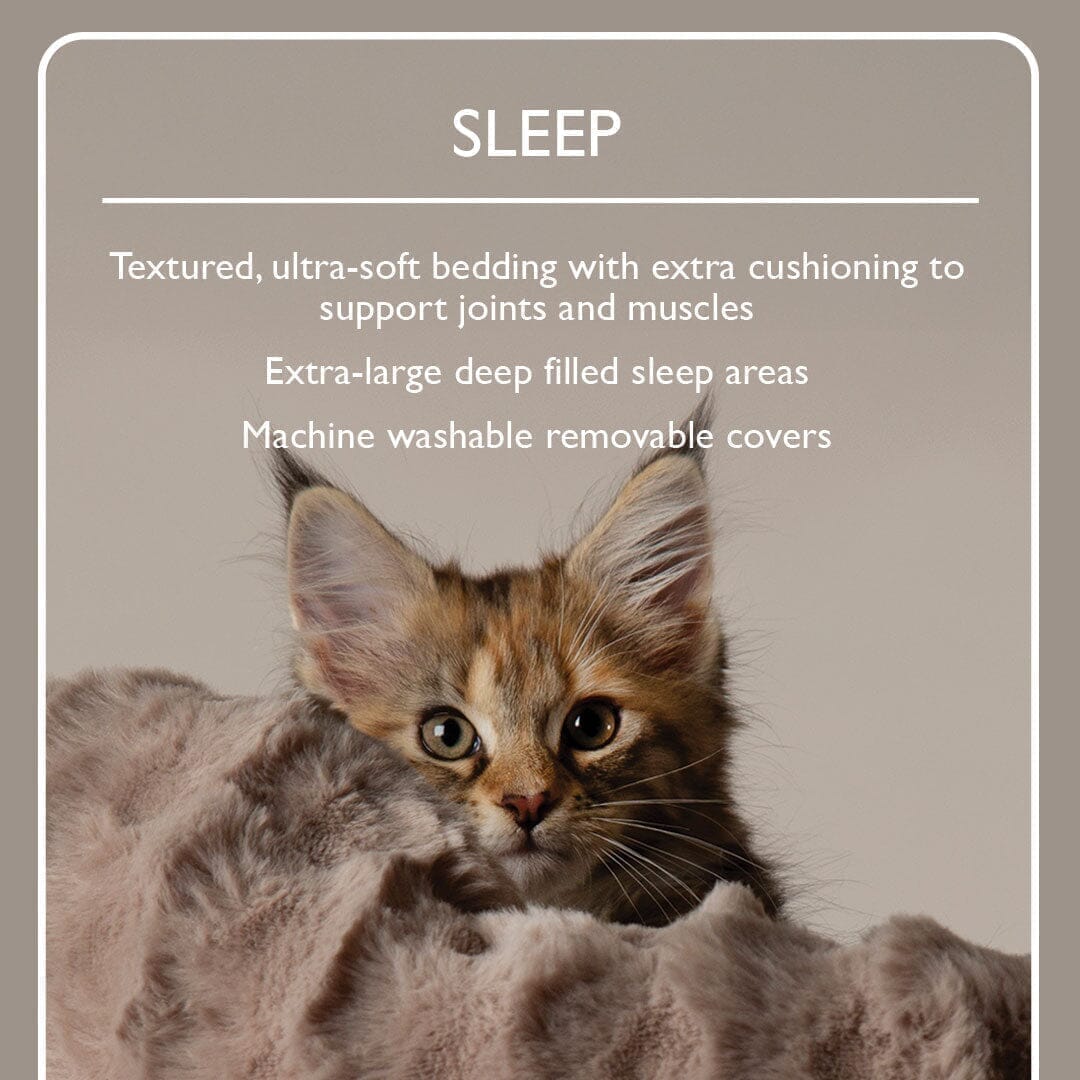 Alpine Colorado Cat Tree - Taupe Cat Tree Scruffs®