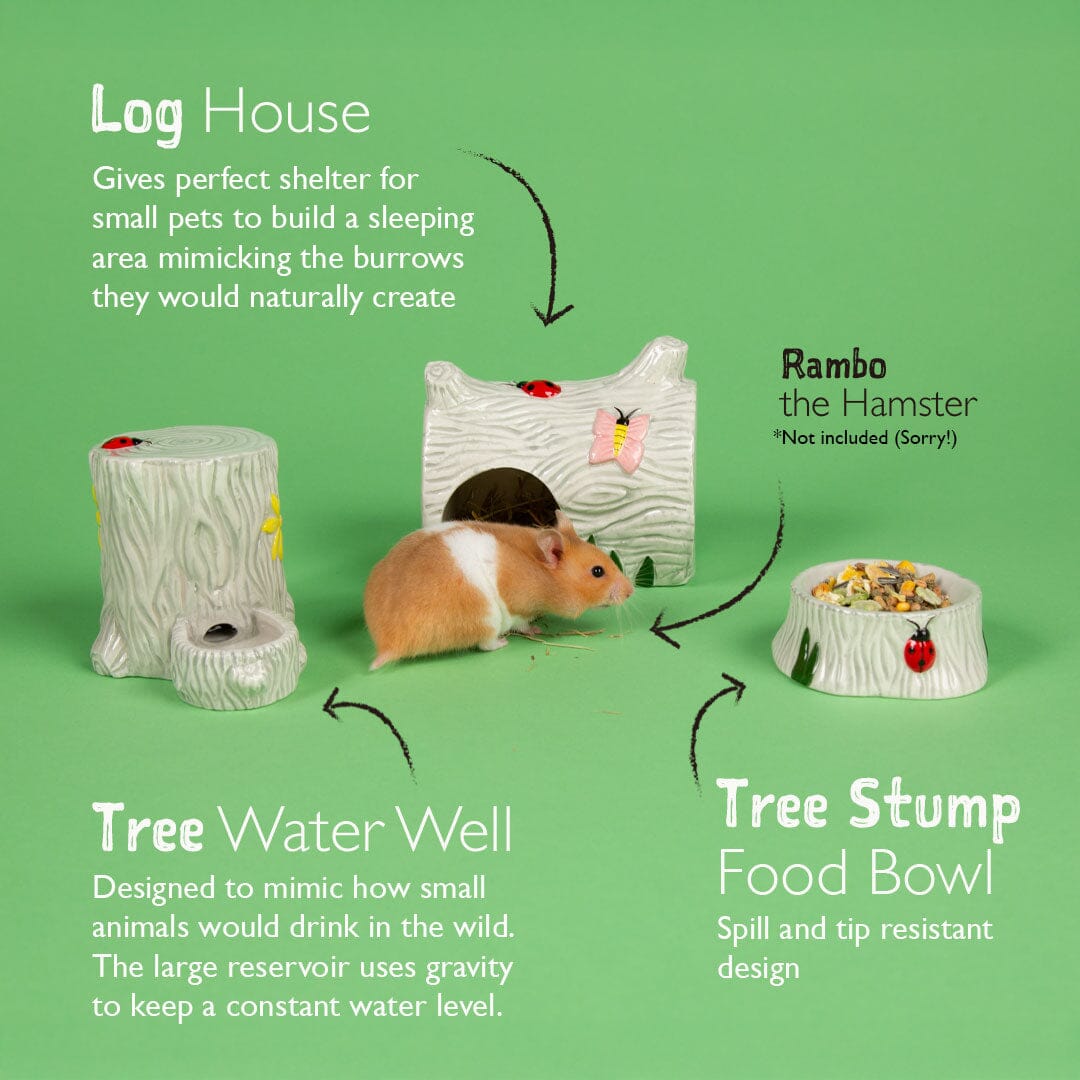 Small Animal Ceramic Set - Woodlands Pet Bowls, Feeders & Waterers Scruffs®