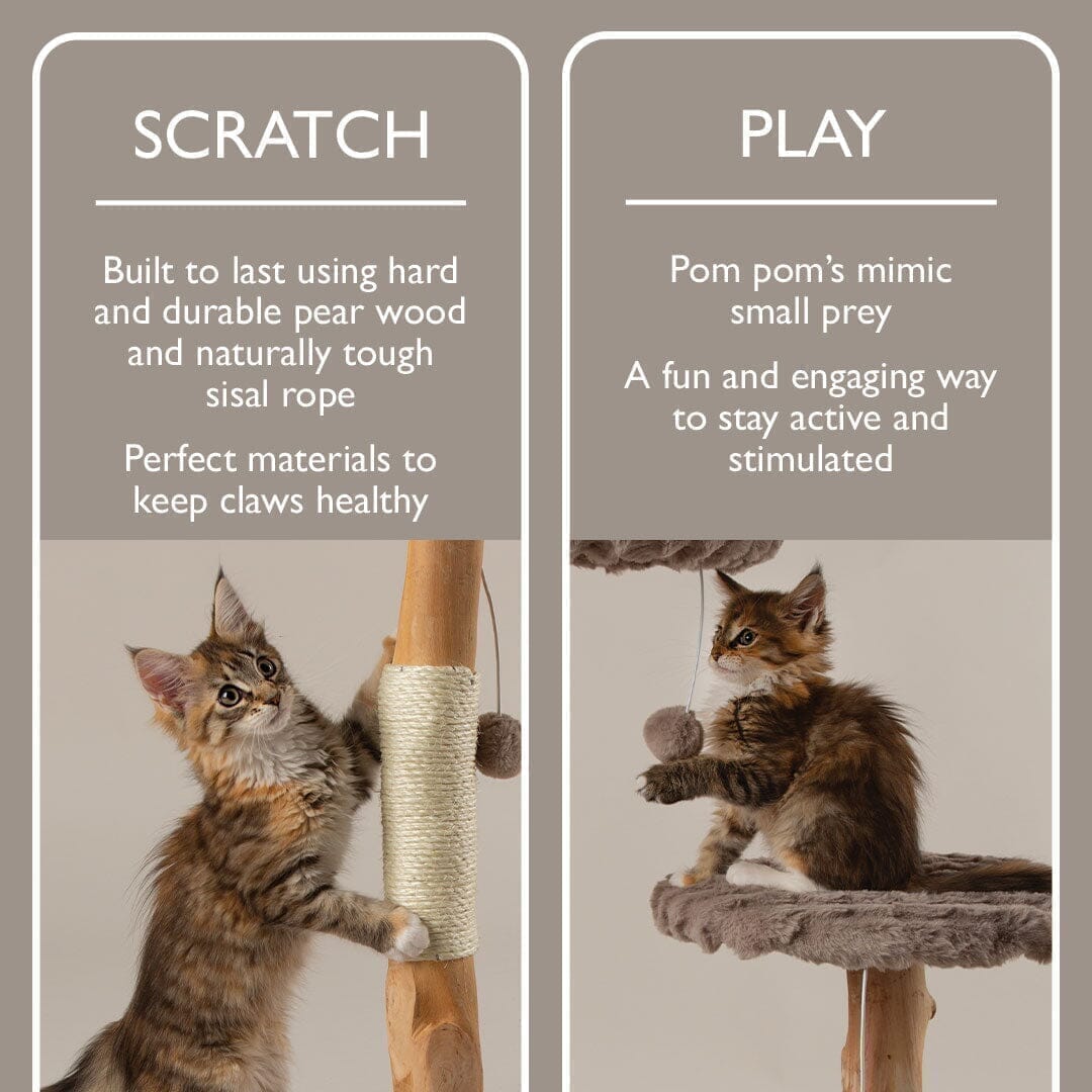 Alpine Atlas Cat Tree - Taupe Cat Tree Scruffs®