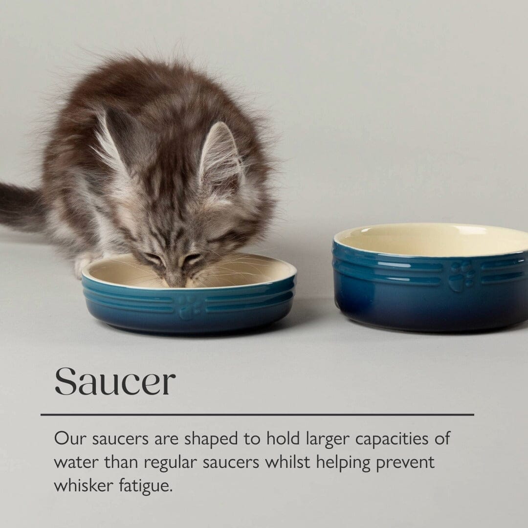 Ombre 2 Piece Cat Food Bowl & Saucer Set - Grey Pet Bowls, Feeders & Waterers Scruffs®