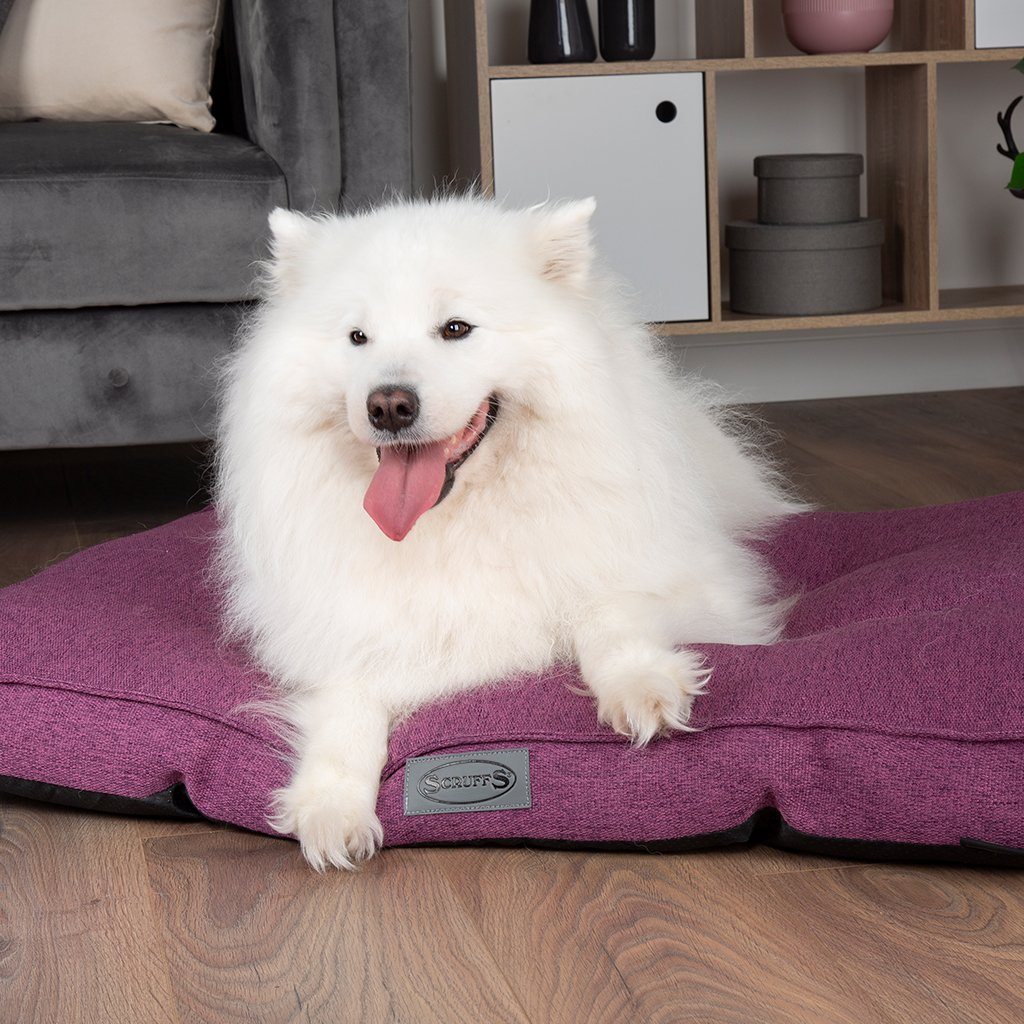 Manhattan Mattress - Berry Purple Dog Bed Scruffs®