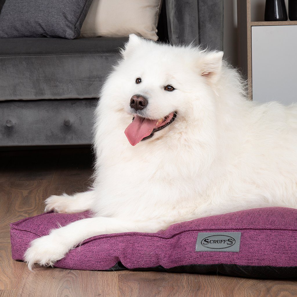 Manhattan Mattress - Berry Purple Dog Bed Scruffs®