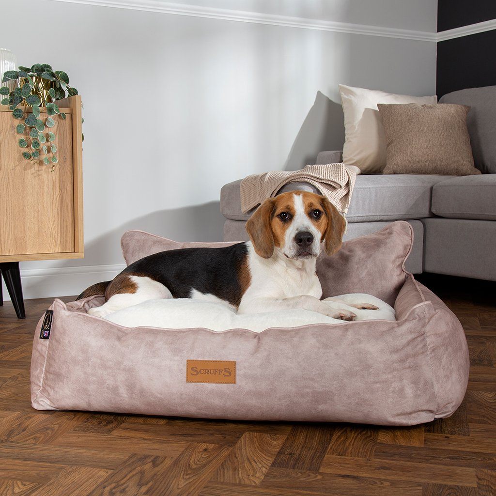 Kensington Box Bed - Cream Dog Bed Scruffs®