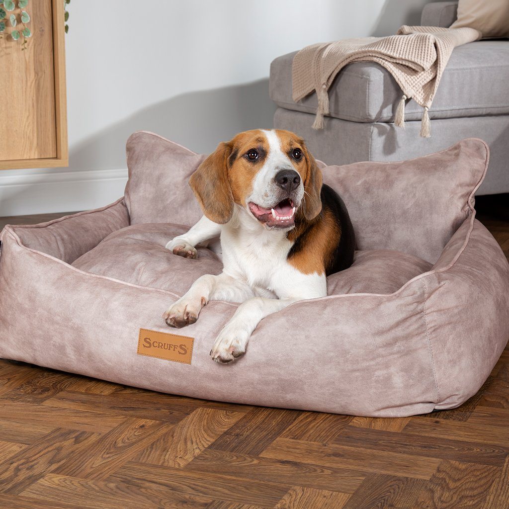 Kensington Box Bed - Cream Dog Bed Scruffs®