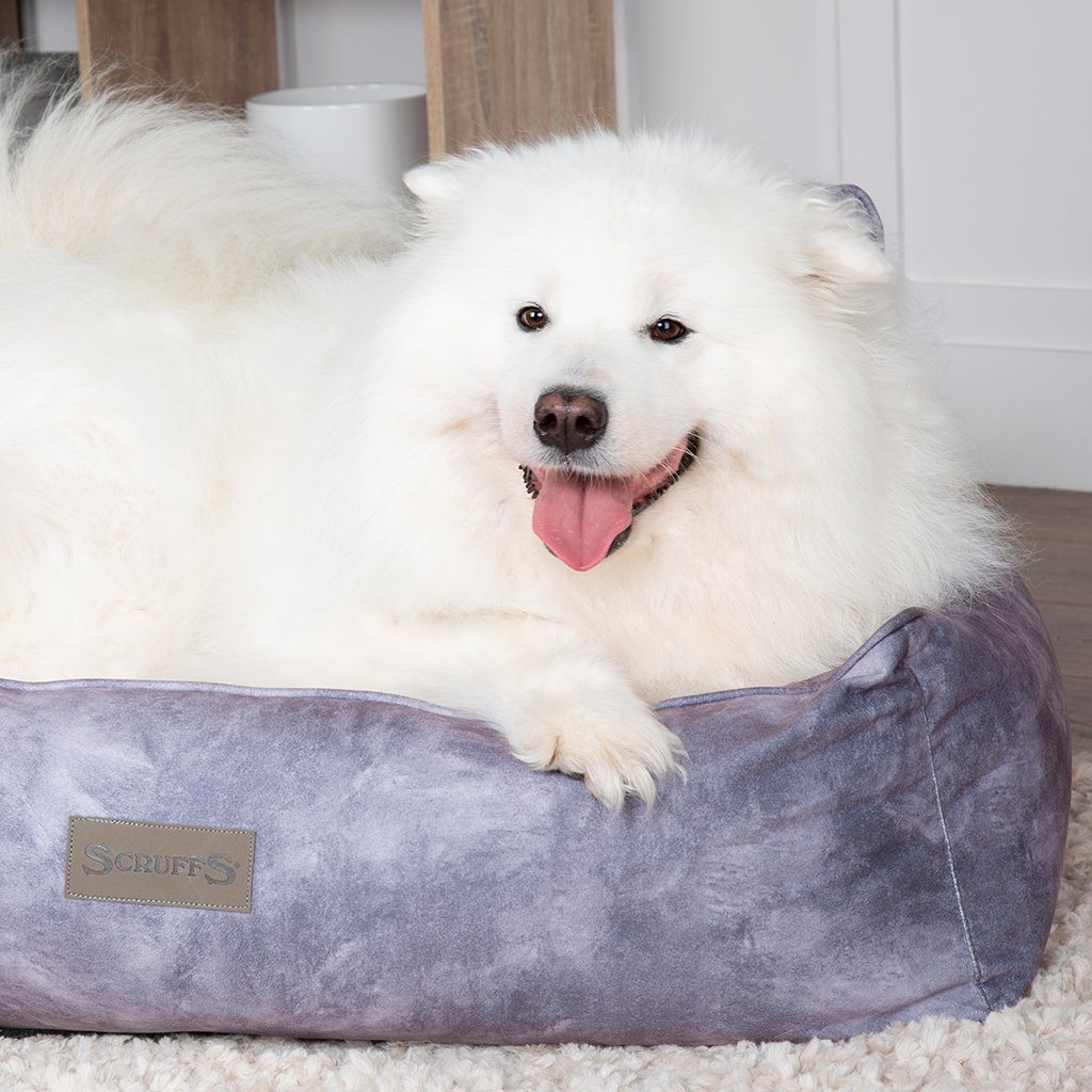 Kensington Box Bed - Grey Dog Bed Scruffs®