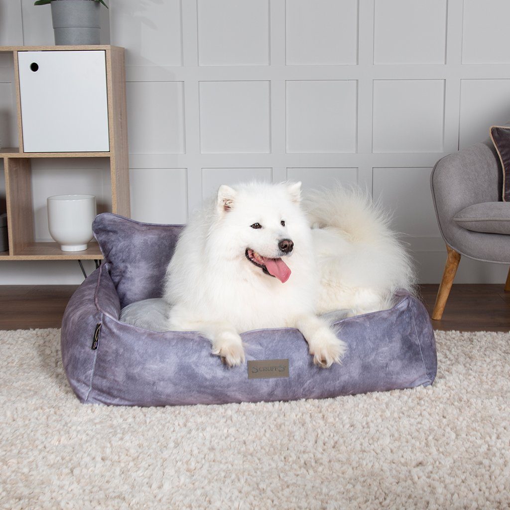 Kensington Box Bed - Grey Dog Bed Scruffs®