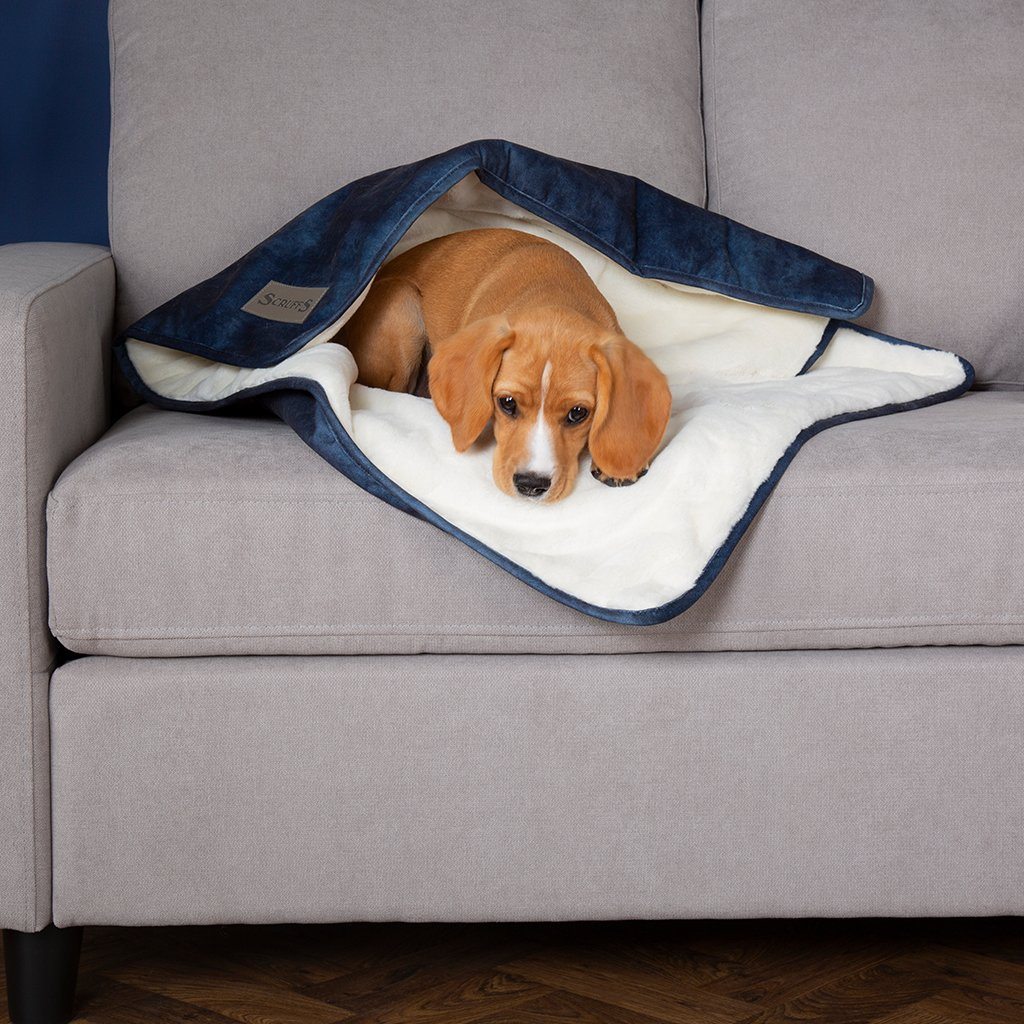 Kensington Blanket - Navy Dog Blanket Scruffs®