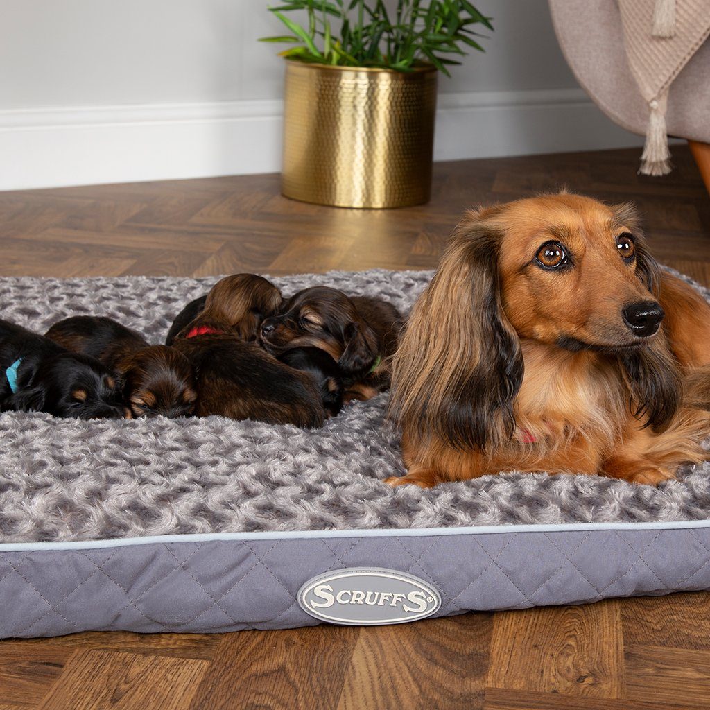 Wilton Mattress - Grey Dog Bed Scruffs®