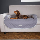 Wilton Sofa Bed - Grey Dog Bed Scruffs®