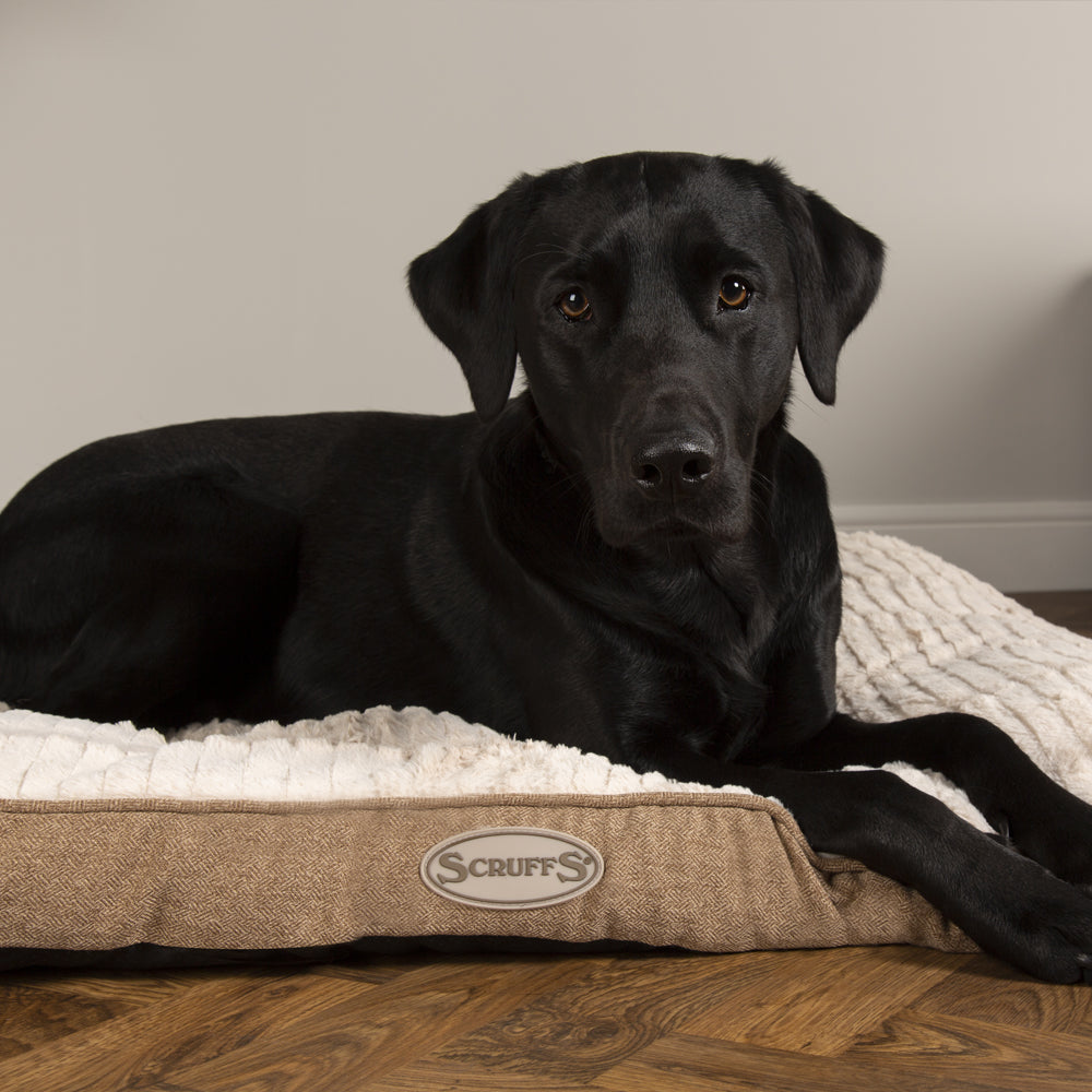 Ellen Dog Mattress - Tan Dog Bed Scruffs®