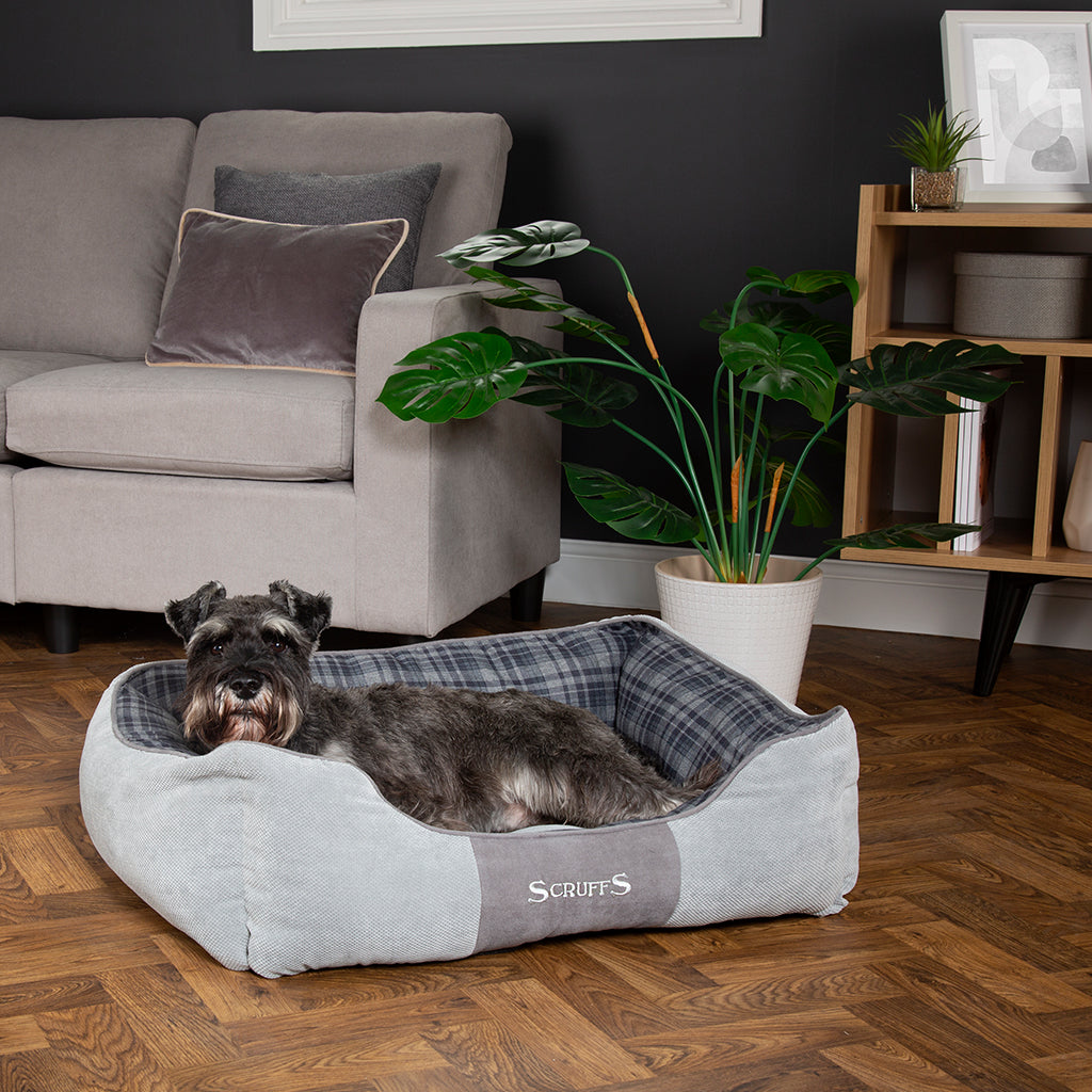 Highland Box Bed - Grey Dog Bed Scruffs®