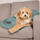 Snuggle Blanket - Sage Green Dog Blanket Scruffs®