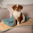 Snuggle Blanket - Sage Green Dog Blanket Scruffs®