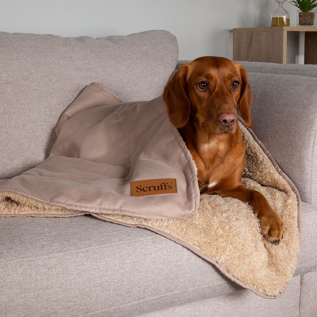 Snuggle Blanket - Desert Sand Dog Blanket Scruffs®