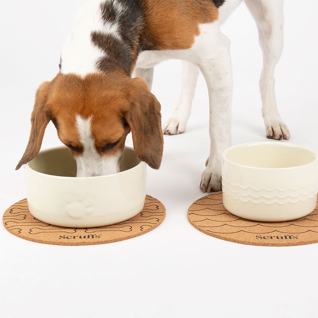 Scruffs 25cm Set of 2 Cork Pet Placemats - Wave & Bone Pet Bowl Mats Scruffs®