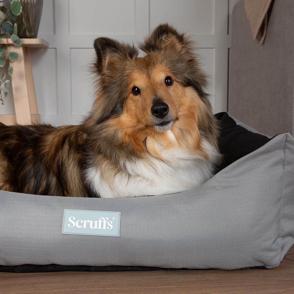 Expedition Box Bed - Storm Grey petslovescruffs