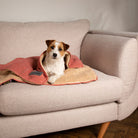 Snuggle Blanket - Terracotta Dog Blanket Scruffs®
