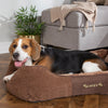 Chester Box Dog Bed - Chocolate Brown Dog Bed Scruffs®