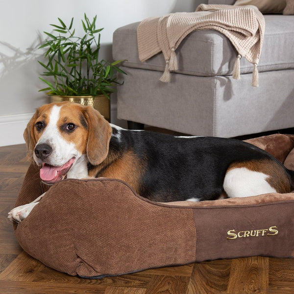 Chester Box Dog Bed - Chocolate Brown Dog Bed Scruffs®