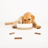 Dog eating out of dog bowl with dog biscuits - Scandi Design - Ceramic Dog Bowl - Scruffs