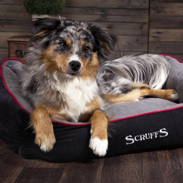 Thermal Box Bed - Black & Grey Dog Bed Scruffs®