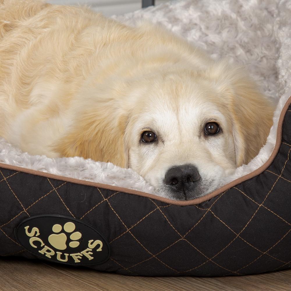 Wilton Box Dog Bed - Black Dog Bed Scruffs®