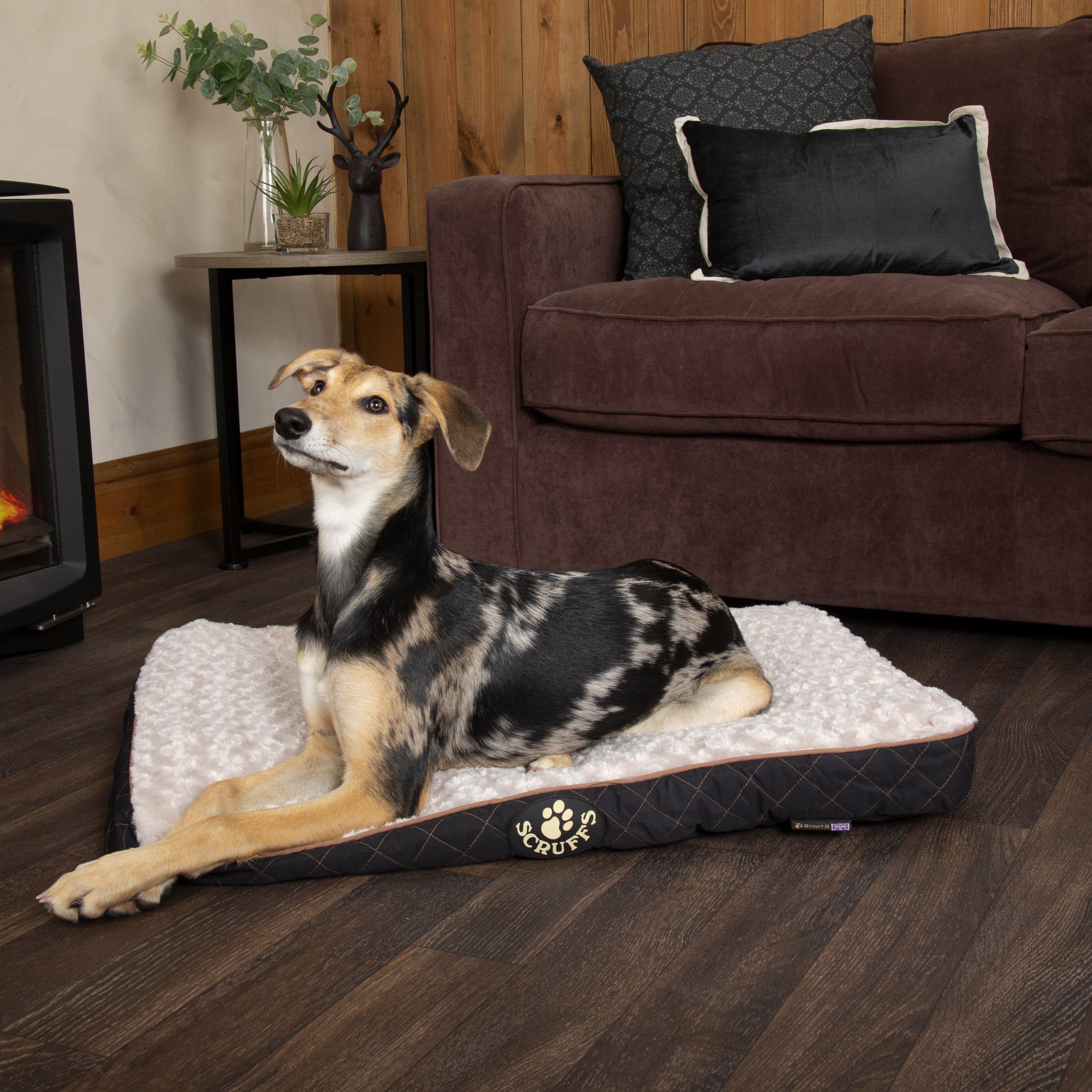 Wilton Mattress - Black Dog Bed Scruffs®