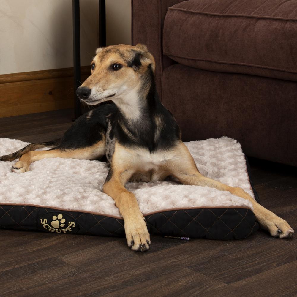 Wilton Mattress - Black Dog Bed Scruffs®