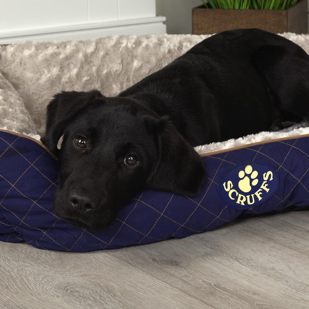 Wilton Box Dog Bed - Blue Dog Bed Scruffs®