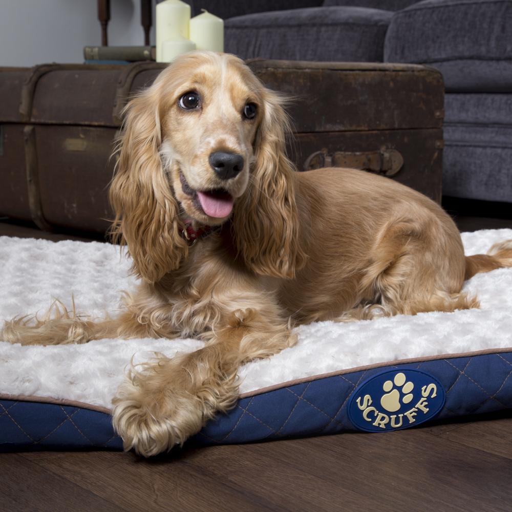Wilton Mattress - Blue Dog Bed Scruffs®