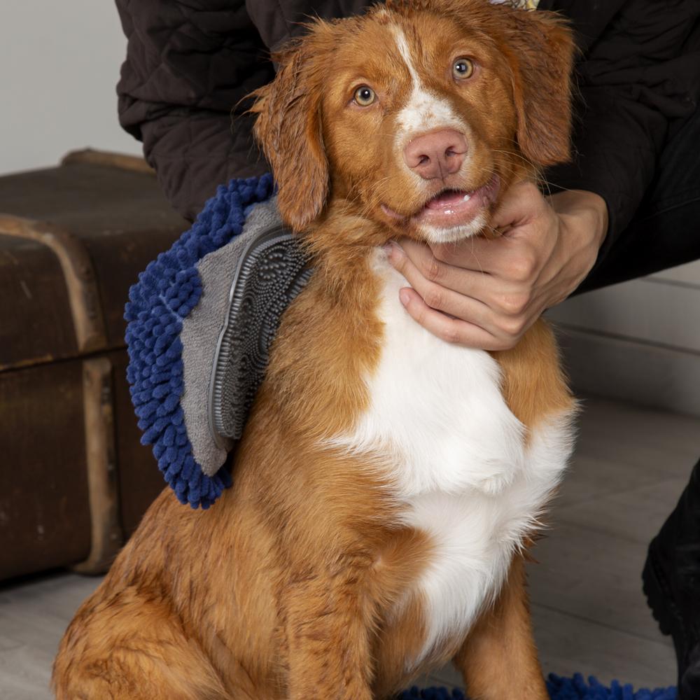 Noodle Dry Mitt - Blue Dog Grooming Scruffs®