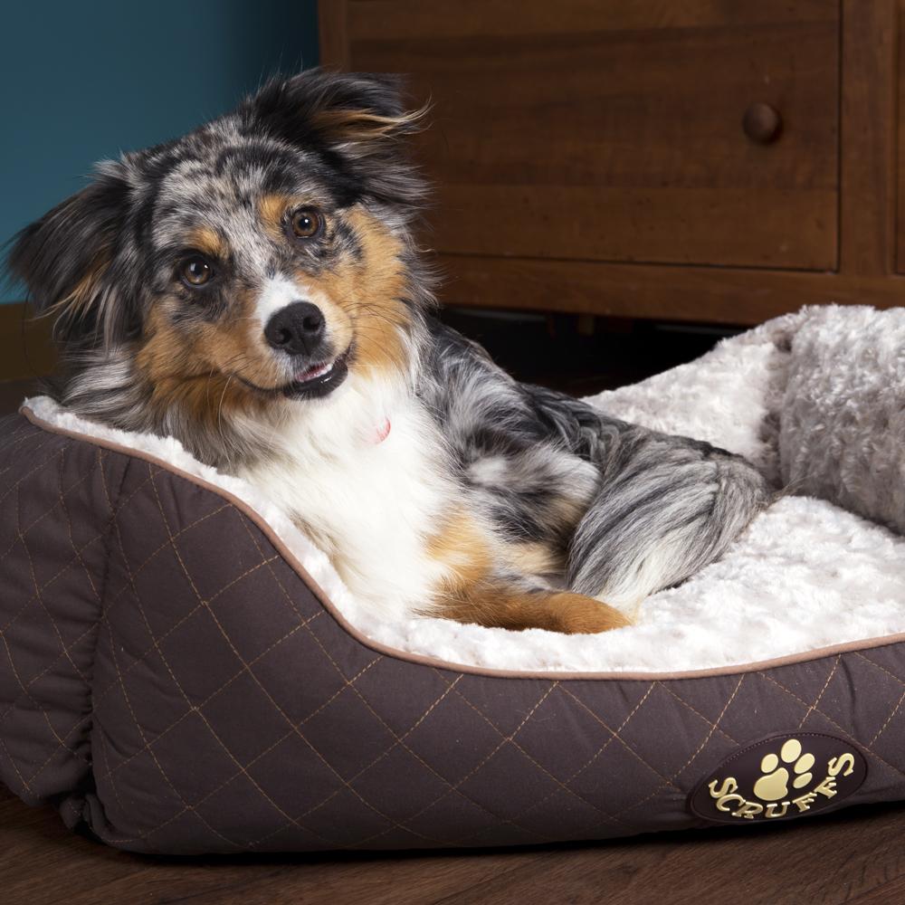 Wilton Box Dog Bed - Brown Dog Bed Scruffs®